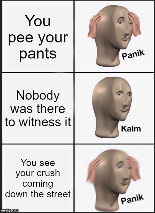 MEME | You pee your pants; Nobody was there to witness it; You see your crush coming down the street | image tagged in memes,panik kalm panik | made w/ Imgflip meme maker