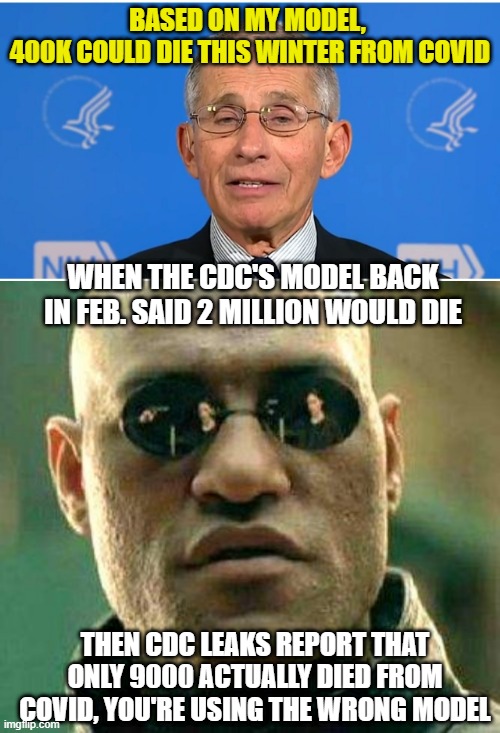 BASED ON MY MODEL, 
400K COULD DIE THIS WINTER FROM COVID; WHEN THE CDC'S MODEL BACK IN FEB. SAID 2 MILLION WOULD DIE; THEN CDC LEAKS REPORT THAT ONLY 9000 ACTUALLY DIED FROM COVID, YOU'RE USING THE WRONG MODEL | image tagged in what if i told you,dr fauci | made w/ Imgflip meme maker