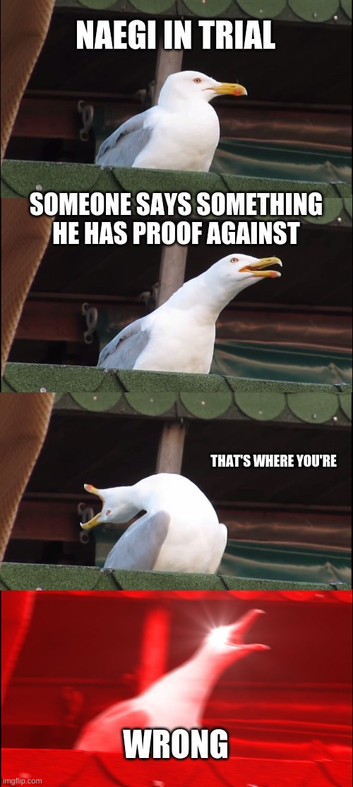 Inhaling Seagull Meme | NAEGI IN TRIAL; SOMEONE SAYS SOMETHING HE HAS PROOF AGAINST; THAT'S WHERE YOU'RE; WRONG | image tagged in memes,inhaling seagull | made w/ Imgflip meme maker