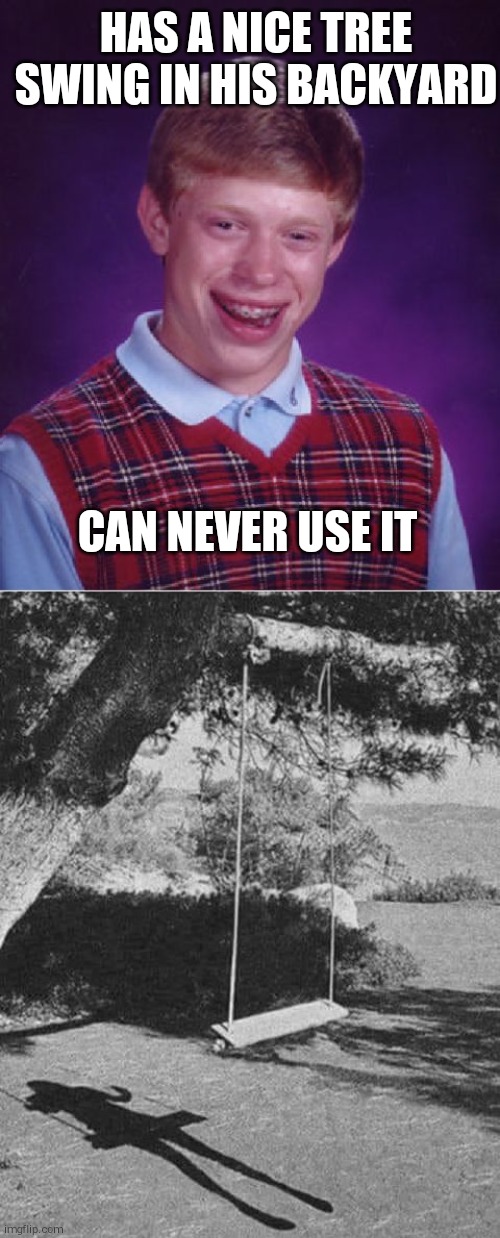 HAS A NICE TREE SWING IN HIS BACKYARD; CAN NEVER USE IT | image tagged in memes,bad luck brian | made w/ Imgflip meme maker