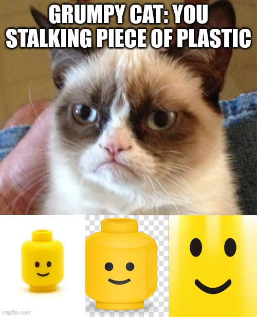 Grumpy Cat Meme | GRUMPY CAT: YOU STALKING PIECE OF PLASTIC | image tagged in memes,grumpy cat | made w/ Imgflip meme maker