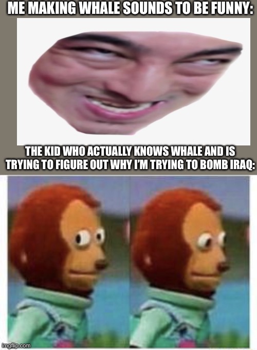 Memes | ME MAKING WHALE SOUNDS TO BE FUNNY:; THE KID WHO ACTUALLY KNOWS WHALE AND IS TRYING TO FIGURE OUT WHY I’M TRYING TO BOMB IRAQ: | image tagged in side eye teddy,memes | made w/ Imgflip meme maker