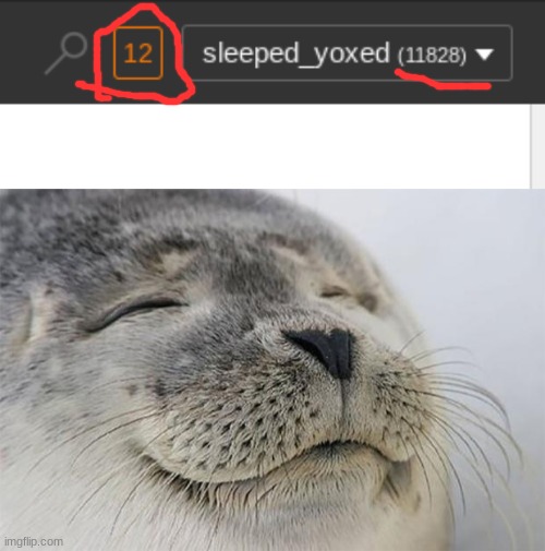 that is the most notifactions i hvave hever had | image tagged in memes,satisfied seal | made w/ Imgflip meme maker