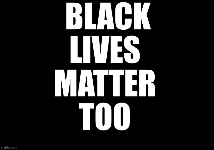 blackground | BLACK
LIVES
MATTER
TOO | image tagged in blackground | made w/ Imgflip meme maker