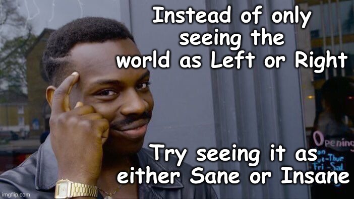 See the world as either Sane or Insane | Instead of only seeing the world as Left or Right; Try seeing it as either Sane or Insane | image tagged in memes,insane,sanity,world,left,right | made w/ Imgflip meme maker