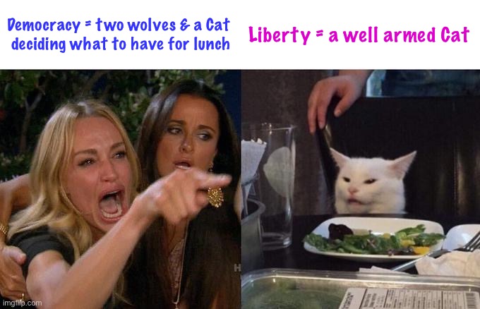 Woman Yelling At Cat | Democracy = two wolves & a Cat
 deciding what to have for lunch; Liberty = a well armed Cat | image tagged in memes,woman yelling at cat | made w/ Imgflip meme maker