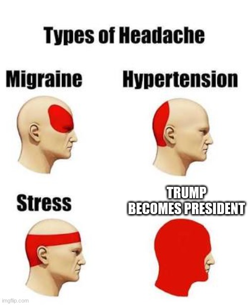 im sorry trump supporters | TRUMP BECOMES PRESIDENT | image tagged in headaches | made w/ Imgflip meme maker