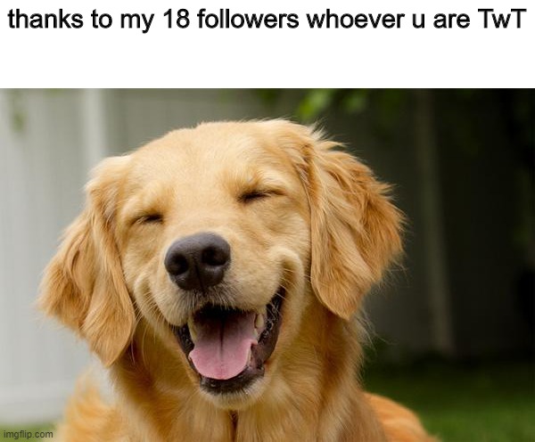 tanks | thanks to my 18 followers whoever u are TwT | image tagged in happy dog | made w/ Imgflip meme maker