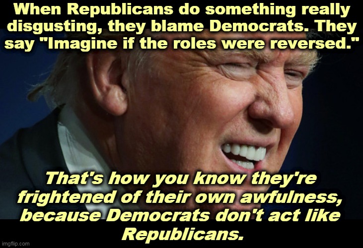 If Republicans say "Imagine if the roles were reversed," that's not an excuse. It's Republicans doing it now; they own it all. | When Republicans do something really disgusting, they blame Democrats. They say "Imagine if the roles were reversed."; That's how you know they're 
frightened of their own awfulness, 
because Democrats don't act like 
Republicans. | image tagged in trump in orbit,gop,republicans,responsibility,cowards | made w/ Imgflip meme maker