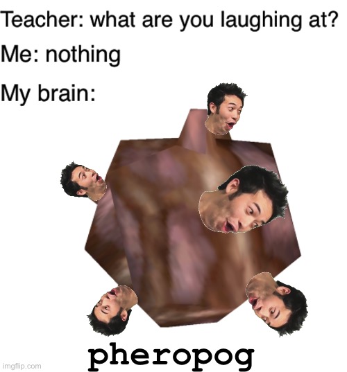 Pheropogchamp | pheropog | image tagged in blank white template,teacher what are you laughing at | made w/ Imgflip meme maker