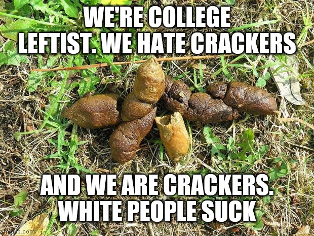 dog turd | WE'RE COLLEGE LEFTIST. WE HATE CRACKERS; AND WE ARE CRACKERS. WHITE PEOPLE SUCK | image tagged in dog turd | made w/ Imgflip meme maker