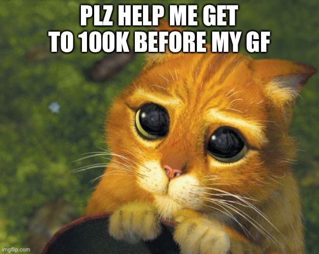 cat plz | PLZ HELP ME GET TO 100K BEFORE MY GF | image tagged in cat plz | made w/ Imgflip meme maker