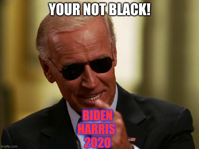 Sorry I just got a good laugh out of this. | YOUR NOT BLACK! BIDEN
HARRIS 
2020 | image tagged in joe biden isnt cool | made w/ Imgflip meme maker