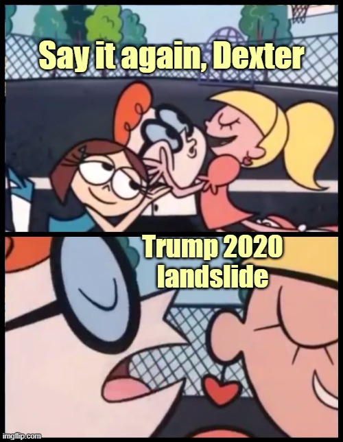 How to get the girls | Say it again, Dexter; Trump 2020
landslide | image tagged in memes,say it again dexter,election 2020 | made w/ Imgflip meme maker