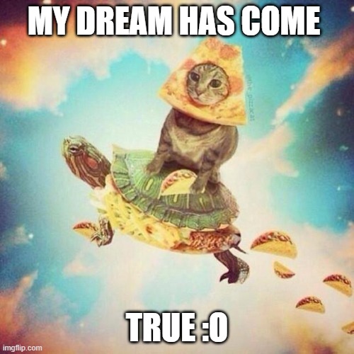 Space Pizza Cat Turtle Tacos | MY DREAM HAS COME; TRUE :O | image tagged in space pizza cat turtle tacos | made w/ Imgflip meme maker