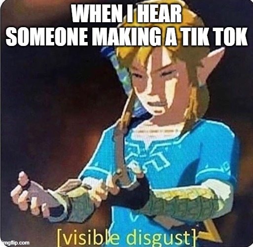 Y E S | WHEN I HEAR SOMEONE MAKING A TIK TOK | image tagged in link visible disgust | made w/ Imgflip meme maker