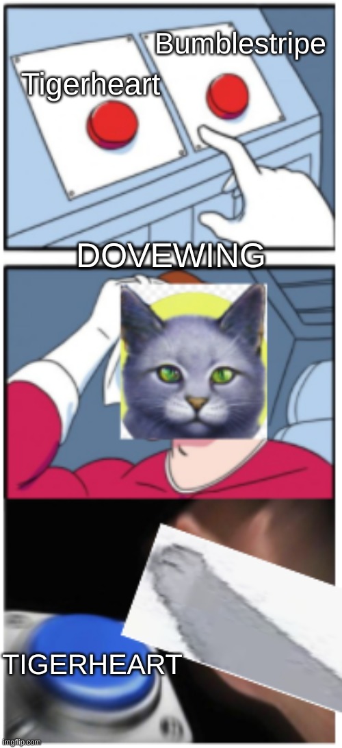 DOVEWING |  Bumblestripe; Tigerheart; DOVEWING; TIGERHEART | image tagged in dovewing,warriors,warrior cats meme,warrior cats | made w/ Imgflip meme maker
