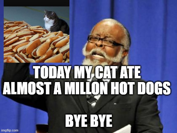 Too Damn High | TODAY MY CAT ATE ALMOST A MILLON HOT DOGS; BYE BYE | image tagged in memes,too damn high | made w/ Imgflip meme maker