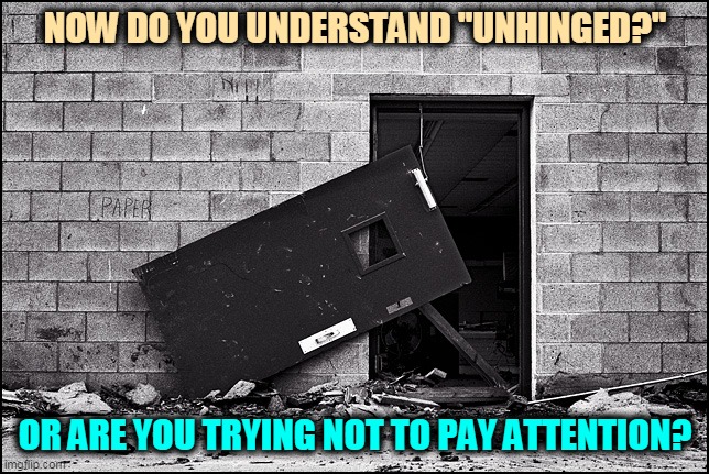 If you denied Trump was unhinged, maybe the antics of last week will help. | NOW DO YOU UNDERSTAND "UNHINGED?"; OR ARE YOU TRYING NOT TO PAY ATTENTION? | image tagged in trump,insane,crazy,nuts,psychopath | made w/ Imgflip meme maker