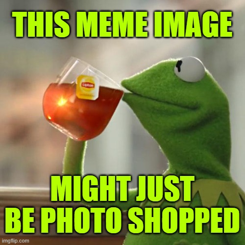But That's None Of My Business Meme | THIS MEME IMAGE MIGHT JUST BE PHOTO SHOPPED | image tagged in memes,but that's none of my business,kermit the frog | made w/ Imgflip meme maker
