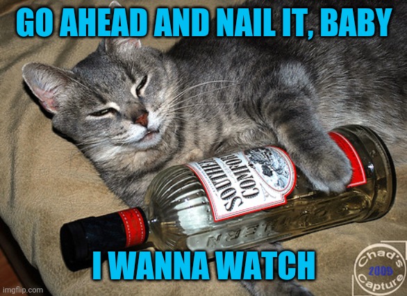 cat and liquor | GO AHEAD AND NAIL IT, BABY I WANNA WATCH | image tagged in cat and liquor | made w/ Imgflip meme maker