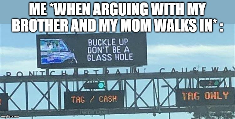 He's a Total....Glass hole | ME *WHEN ARGUING WITH MY BROTHER AND MY MOM WALKS IN* : | image tagged in bad puns,mom | made w/ Imgflip meme maker