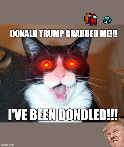 trumpetifile you | image tagged in mmcs | made w/ Imgflip meme maker