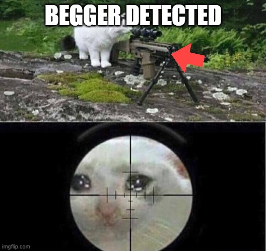 Sniper cat | BEGGER DETECTED | image tagged in sniper cat | made w/ Imgflip meme maker