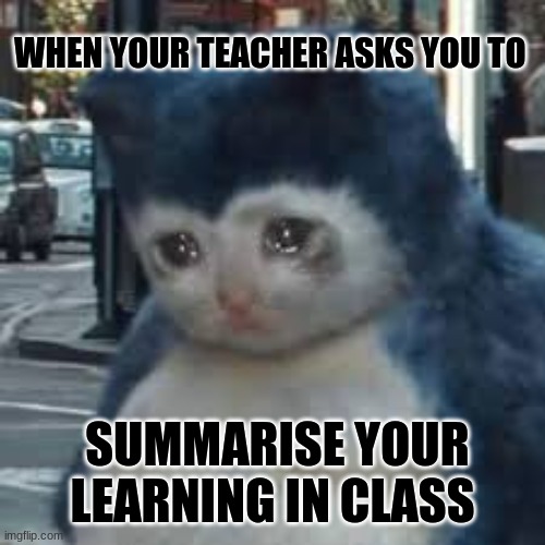 class fun | WHEN YOUR TEACHER ASKS YOU TO; SUMMARISE YOUR LEARNING IN CLASS | image tagged in funny,so true memes | made w/ Imgflip meme maker