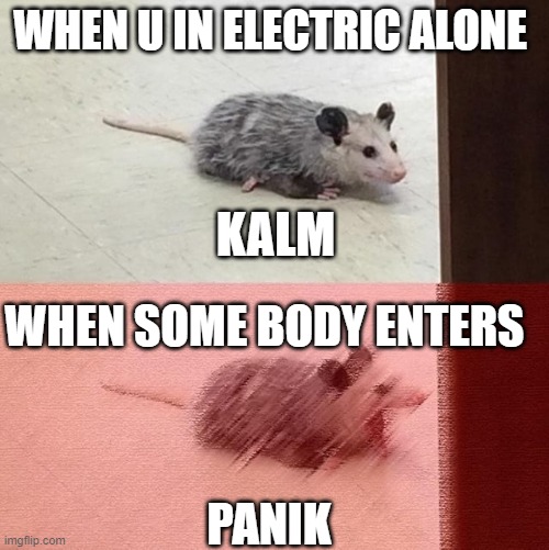 amon us meme | WHEN U IN ELECTRIC ALONE; KALM; WHEN SOME BODY ENTERS; PANIK | image tagged in among us | made w/ Imgflip meme maker
