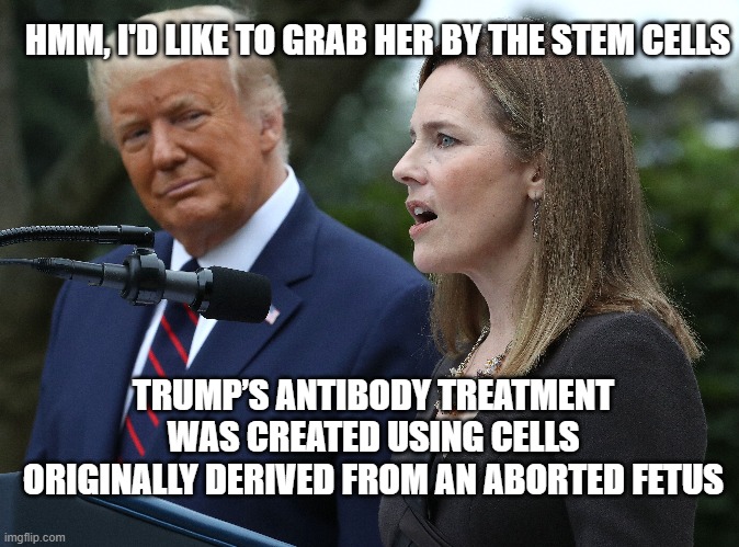 Trump Stemcells | HMM, I'D LIKE TO GRAB HER BY THE STEM CELLS; TRUMP’S ANTIBODY TREATMENT WAS CREATED USING CELLS ORIGINALLY DERIVED FROM AN ABORTED FETUS | image tagged in political meme | made w/ Imgflip meme maker