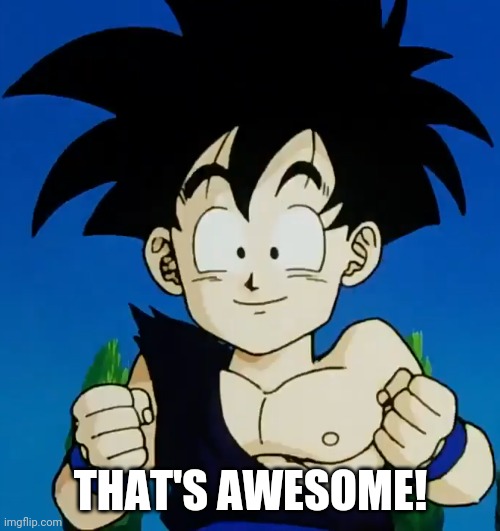 Amused Gohan (DBZ) | THAT'S AWESOME! | image tagged in amused gohan dbz | made w/ Imgflip meme maker