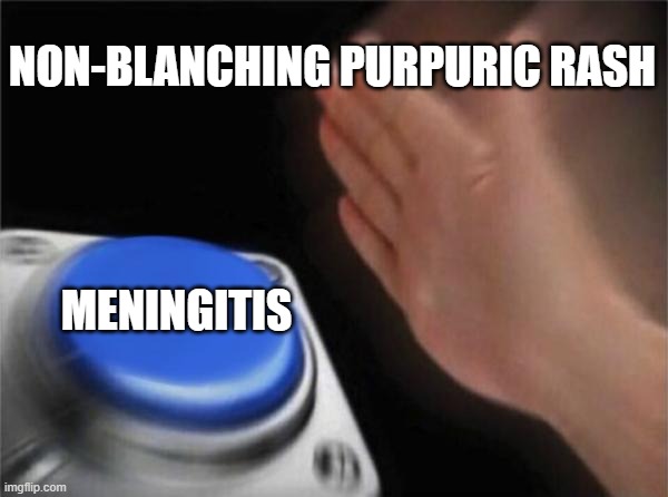 Blank Nut Button Meme | NON-BLANCHING PURPURIC RASH; MENINGITIS | image tagged in memes,blank nut button | made w/ Imgflip meme maker