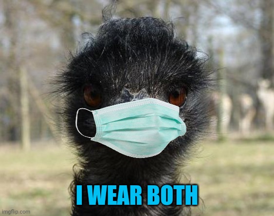 Bad News Emu | I WEAR BOTH | image tagged in bad news emu | made w/ Imgflip meme maker