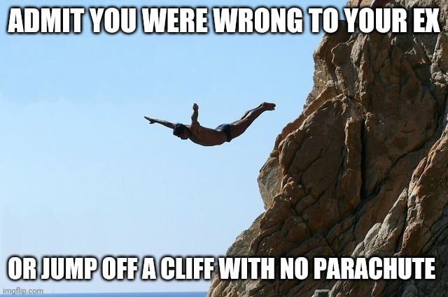 Jumping off a cliff | ADMIT YOU WERE WRONG TO YOUR EX; OR JUMP OFF A CLIFF WITH NO PARACHUTE | image tagged in jumping off a cliff | made w/ Imgflip meme maker