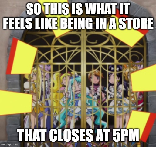 Being stuck in a store that closes at early hour... | SO THIS IS WHAT IT FEELS LIKE BEING IN A STORE; THAT CLOSES AT 5PM | image tagged in precure prison,precure,store,memes | made w/ Imgflip meme maker
