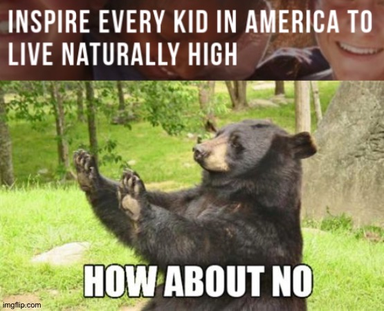 Probably not the best organization | image tagged in memes,how about no bear | made w/ Imgflip meme maker