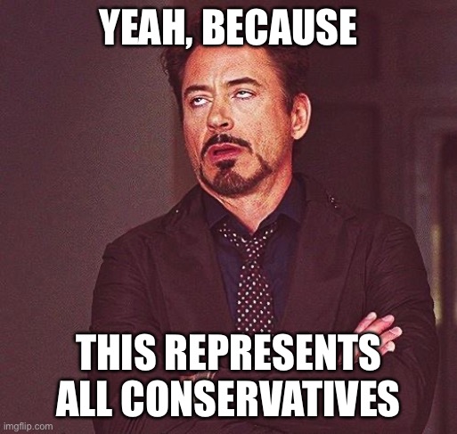Robert Downey Jr Annoyed | YEAH, BECAUSE THIS REPRESENTS ALL CONSERVATIVES | image tagged in robert downey jr annoyed | made w/ Imgflip meme maker