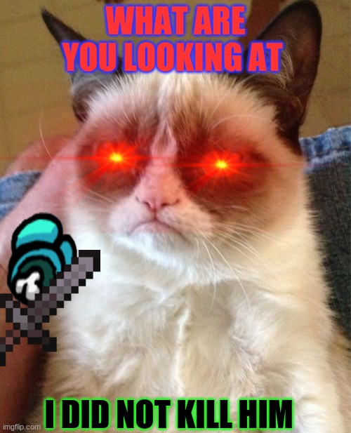 grumpy cat |  WHAT ARE YOU LOOKING AT; I DID NOT KILL HIM | image tagged in memes,grumpy cat | made w/ Imgflip meme maker