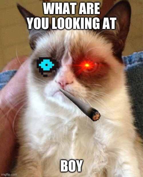 Grumpy cat | WHAT ARE YOU LOOKING AT; BOY | image tagged in memes,grumpy cat | made w/ Imgflip meme maker