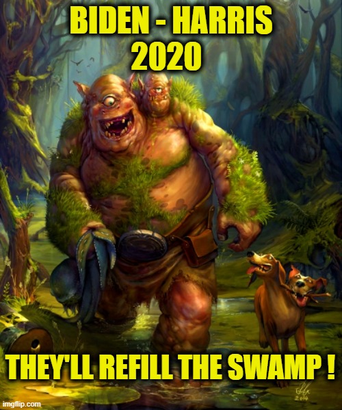 Why some people will vote the Biden - Harris ticket... | BIDEN - HARRIS; 2020; THEY'LL REFILL THE SWAMP ! | image tagged in election 2020,liberals vs conservatives,donald trump approves,biden,drain the swamp trump,vote trump | made w/ Imgflip meme maker