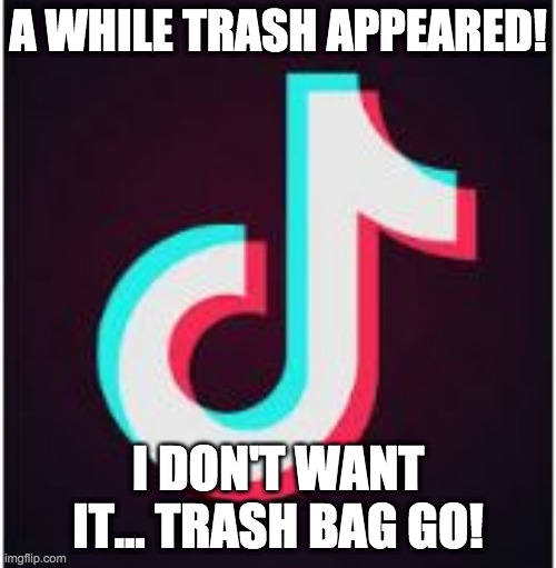 Hey!! you are suppose to be in my trashbag! | A WHILE TRASH APPEARED! I DON'T WANT IT... TRASH BAG GO! | image tagged in tik tok | made w/ Imgflip meme maker