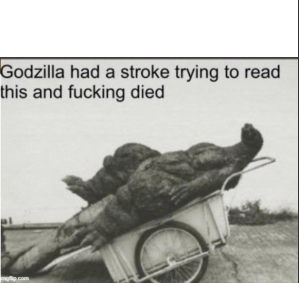 Godzilla had a stroke trying to read this and fucking died Blank Meme Template