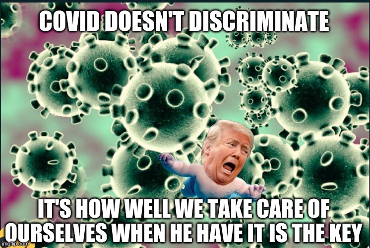 Trump virus | COVID DOESN'T DISCRIMINATE IT'S HOW WELL WE TAKE CARE OF OURSELVES WHEN HE HAVE IT IS THE KEY | image tagged in trump virus | made w/ Imgflip meme maker