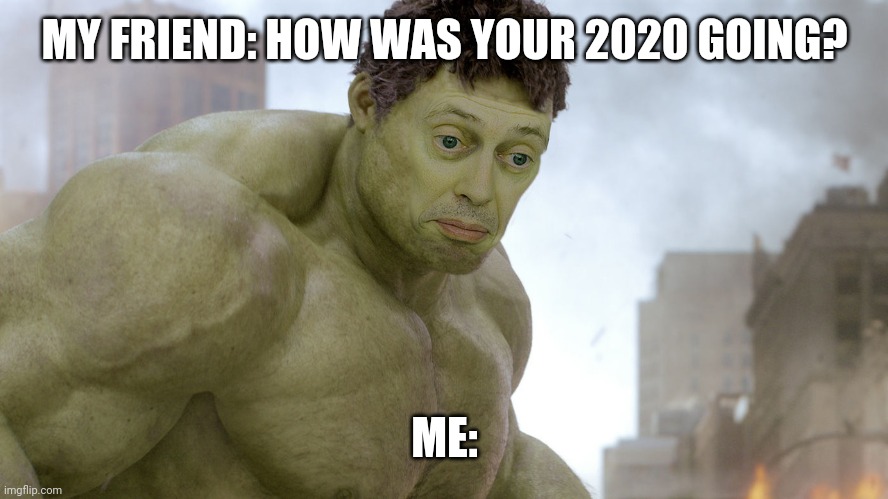 steve buscemi hulk | MY FRIEND: HOW WAS YOUR 2020 GOING? ME: | image tagged in steve buscemi hulk | made w/ Imgflip meme maker