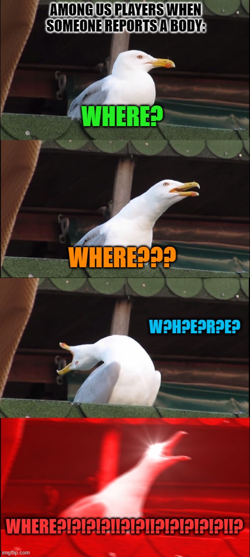 This happens ALL the time | AMONG US PLAYERS WHEN SOMEONE REPORTS A BODY:; WHERE? WHERE??? W?H?E?R?E? WHERE?!?!?!?!!?!?!!?!?!?!?!?!!? | image tagged in memes | made w/ Imgflip meme maker