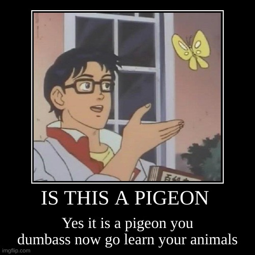 Is this a pigeon? Demotivational Imgflip