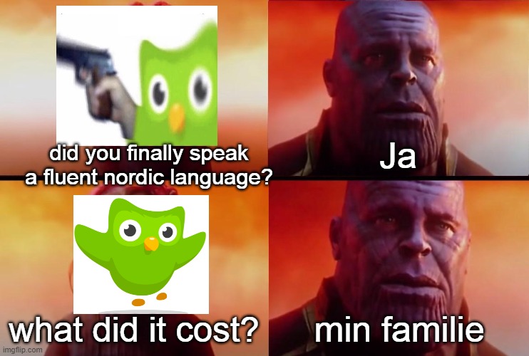 everything | Ja; did you finally speak a fluent nordic language? what did it cost? min familie | image tagged in thanos what did it cost | made w/ Imgflip meme maker