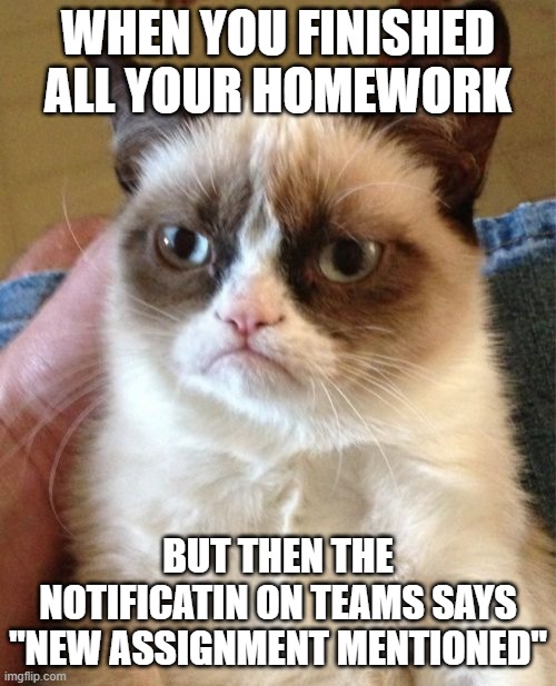 Grumpy Cat Meme | WHEN YOU FINISHED ALL YOUR HOMEWORK; BUT THEN THE NOTIFICATIN ON TEAMS SAYS "NEW ASSIGNMENT MENTIONED" | image tagged in memes,grumpy cat | made w/ Imgflip meme maker