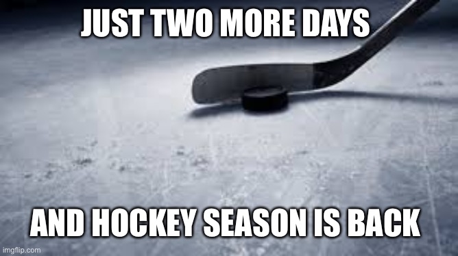 hockey | JUST TWO MORE DAYS; AND HOCKEY SEASON IS BACK | image tagged in hockey | made w/ Imgflip meme maker